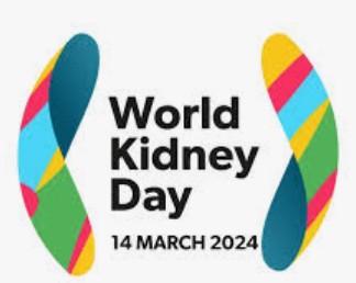 2024 World Kidney Day: Expert advices people to avoid risk factors.…they include, see details