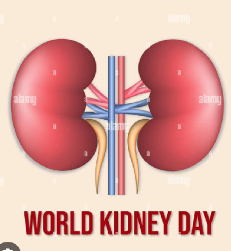 2025 World Kidney Day: Regular Check up is key to Manage your Kidneys.